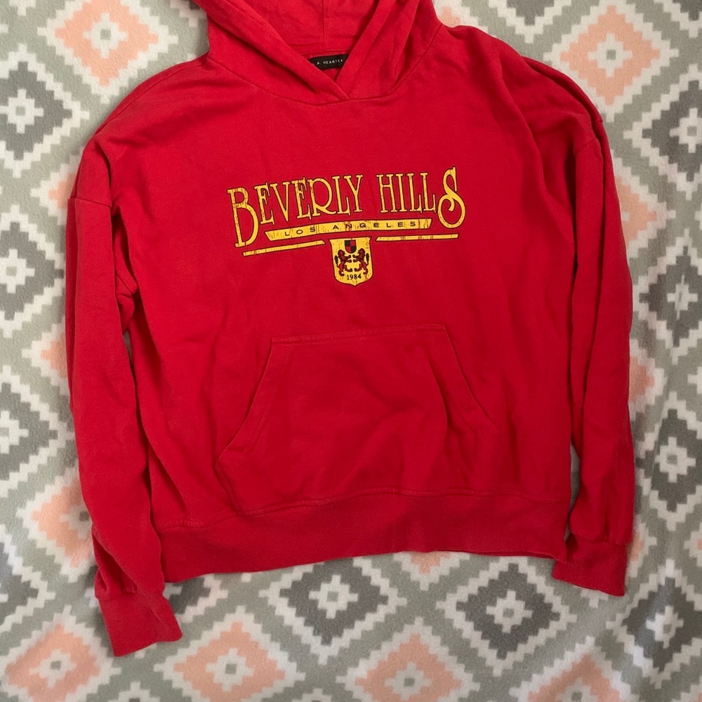 PACSUN hoodie